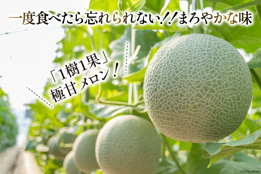 【期間限定発送】AB053 その道一筋の生産者がじっくり丁寧に育てた マスクメロン 2玉 特選 大玉 桐箱