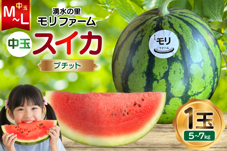 AJ459 【令和8年度出荷分】 湧水の里 モリファーム 中玉スイカ プチット M〜L 5〜7kg 1玉 [ 先行予約 数量限定 中玉 スイカ 西瓜 フルーツ 果物 長崎 長崎県 島原市 ]