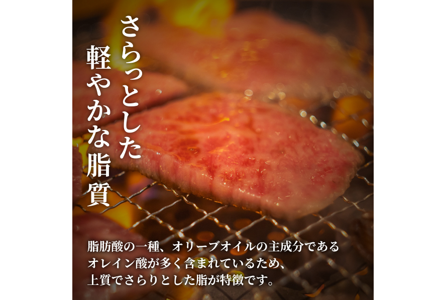 AI276 長崎和牛 半頭分買い 一括納品 [ 肉 和牛 牛肉 Giverichホールディングス 長崎県 島原市 ]