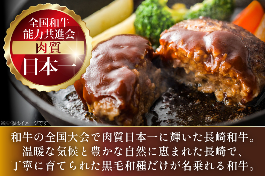 AJ591 【12回定期便】長崎和牛 ハンバーグ 約2kg (200g×10個) [ 肉 牛肉 和牛 おいしい ひき肉 焼くだけ おかず まるしん商会 黒牛 長崎県 島原市 ]