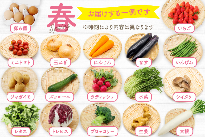 BH113 【6回定期便】 野菜・フルーツ・卵 旬のおまかせセット （野菜･フルーツ13～16種、卵6玉） [ 野菜セット 野菜 フルーツ 果物 たまご 鶏卵 産地直送 厳選 長崎県 島原市 送料無料]
