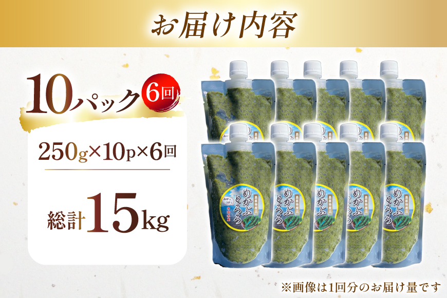 AJ661 めかぶ 有明海産 無添加めかぶとろろ 250g×10パック 定期便 6回 隔月 [ きざみめかぶ とろろ わかめ 海藻 無添加 冷凍 小分け チューブ ご飯のお供 中田水産 長崎県 島原市 ]