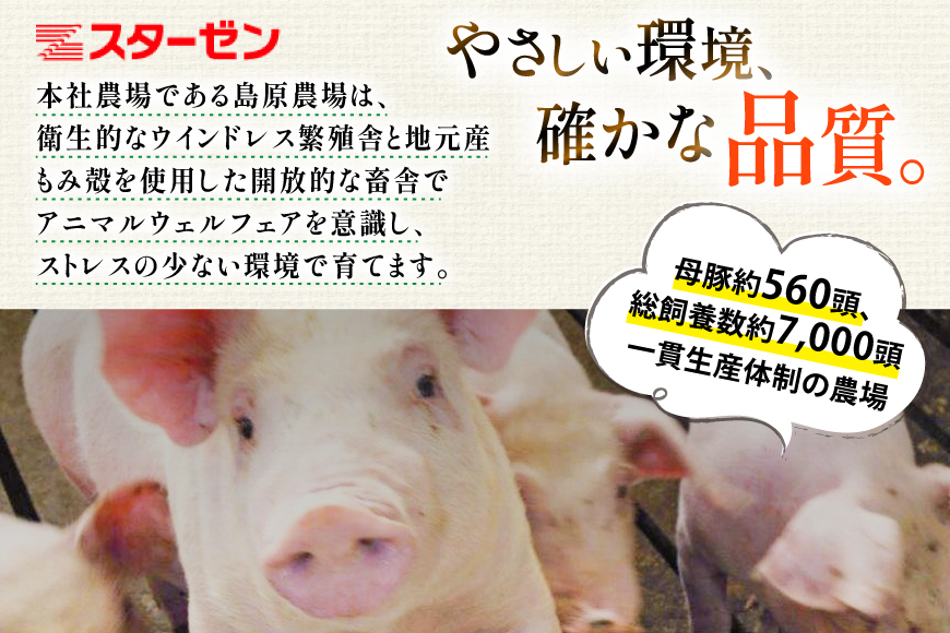 AK031 豚ロース 生姜焼き用 500g 3パック 計1.5kg [ 豚肉 ロース 小分け 肉 お肉 BBQ バーベキュー 焼肉 アウトドア スターゼン 長崎県 島原市 ]