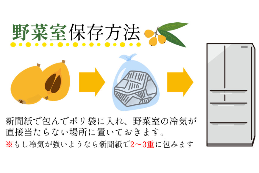 BH093 【期間限定発送】長崎県産 ハウスびわ 約500g 化粧箱入り [ フルーツ 果物 くだもの びわ ビワ 枇杷 数量限定 季節限定 初夏 長崎県 島原市 ]