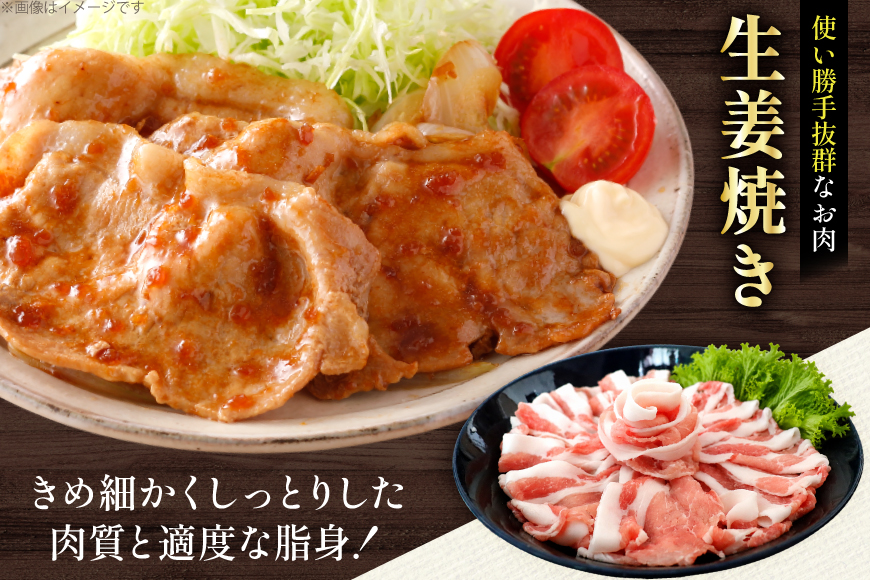 AK030 豚ロース 生姜焼き用 500g 2パック 計1kg [ 豚肉 ぶた肉 ロース 小分け 肉 お肉 生姜焼き しょうが焼き BBQ バーベキュー 焼肉 アウトドア 1キロ スターゼン 長崎県 島原市 ]