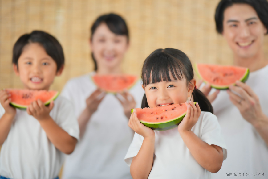 AJ645 【令和8年度出荷分】 島原スイカ倶楽部 小玉スイカ うり坊 3〜5玉 計9〜12kg [ 先行予約 数量限定 小玉 うり坊 スイカ 西瓜 フルーツ 果物 長崎 長崎県 島原市 ]