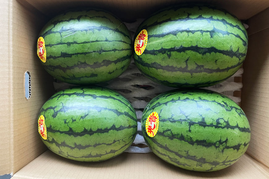 AJ462 【令和8年度出荷分】 Farm honda 小玉スイカ 3〜5玉 約10kg [ 先行予約 数量限定 小玉 スイカ 西瓜 フルーツ 果物 長崎 長崎県 島原市 ]