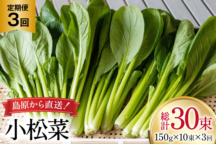 AI329 定期便 3回 小松菜 10束 [ 野菜 こまつな やさい 冷蔵 葉物野菜 田中農園 長崎県 島原市 ]