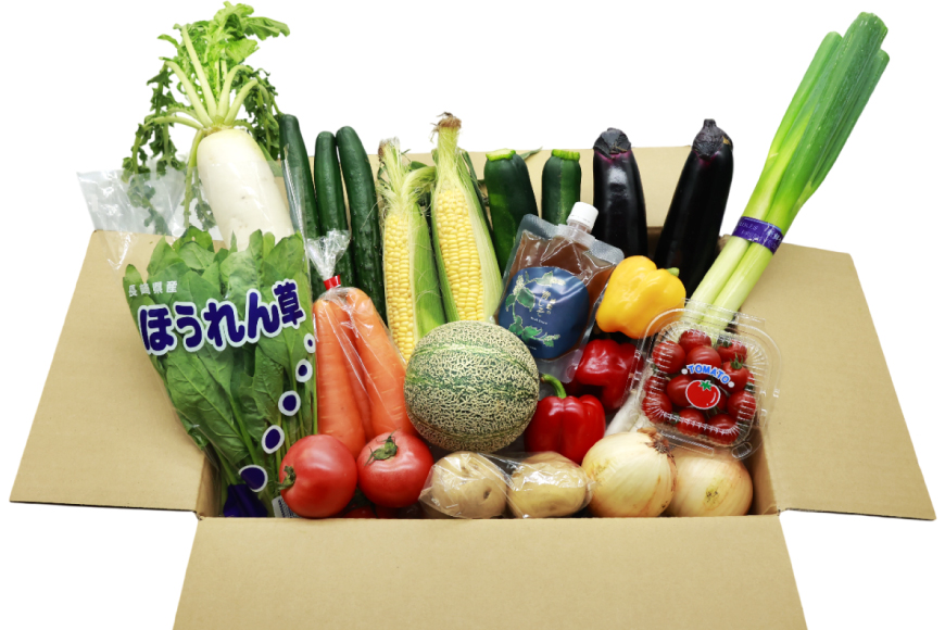 AJ315 季節の野菜・果物セット 13〜15品 しそジュース付き [ 野菜 詰合せ 長崎県 島原市 ]