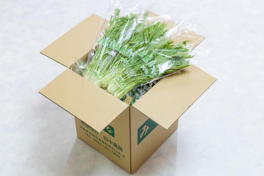 AI340 定期便 12回 水菜 30束 [ 野菜 みずな サラダ やさい 冷蔵 葉物野菜 田中農園 長崎県 島原市 ]