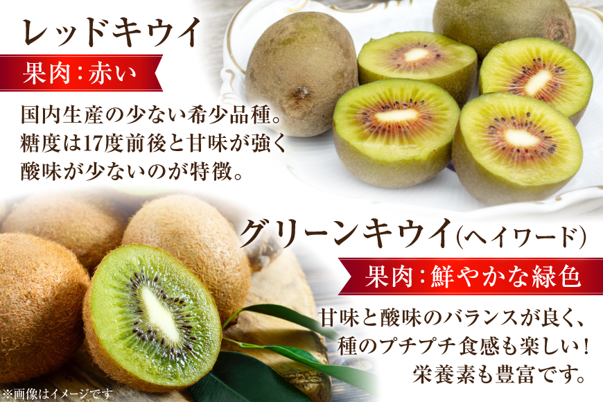 CG083 フルーツ 定期便 全4回 厳選！島原の人気フルーツ定期便 [ 旬 果物 詰め合わせ 食べ比べ セット いちご メロン すいか キウイ 長崎県 島原市 ]