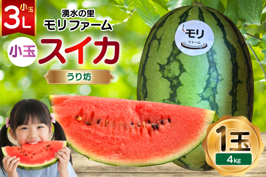AJ460 【令和8年度出荷分】 湧水の里 モリファーム 小玉スイカ うり坊 3L 4kg 1玉 [ 先行予約 数量限定 小玉 うり坊 スイカ 西瓜 フルーツ 果物 長崎 長崎県 島原市 ]