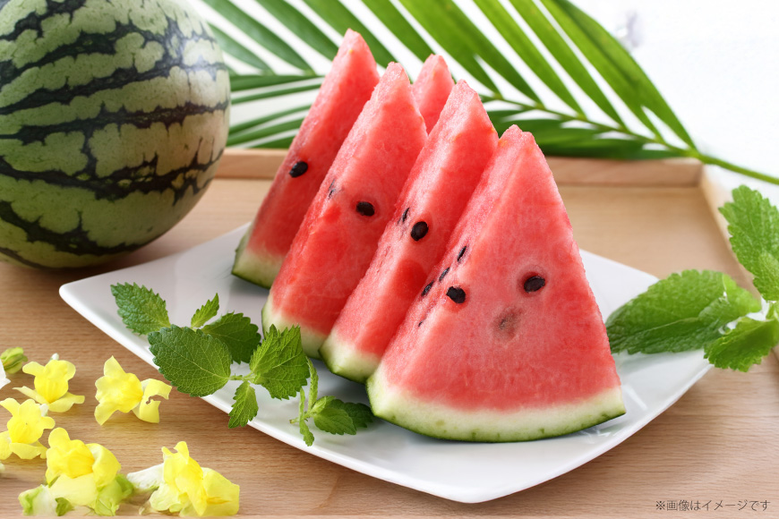 AJ645 【令和8年度出荷分】 島原スイカ倶楽部 小玉スイカ うり坊 3〜5玉 計9〜12kg [ 先行予約 数量限定 小玉 うり坊 スイカ 西瓜 フルーツ 果物 長崎 長崎県 島原市 ]