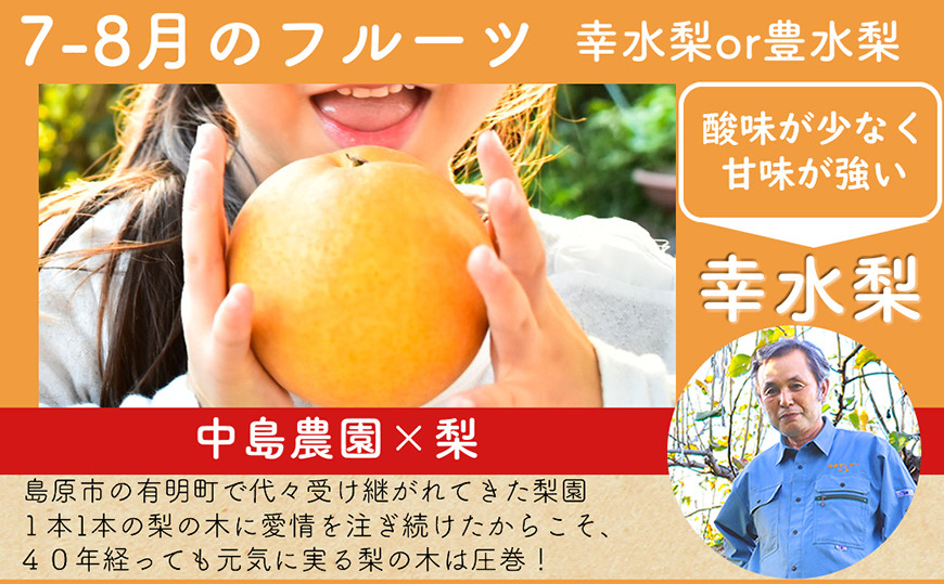 DH106 【令和9年度出荷分】【春〜夏季】フルーツ定期便（全4回） ハウスびわ 小玉スイカ 小玉メロン 梨 [ 果物 フルーツ びわ すいか メロン ナシ 長崎県 島原市 ]