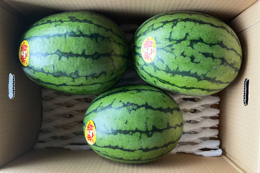 AJ462 【令和8年度出荷分】 Farm honda 小玉スイカ 3〜5玉 約10kg [ 先行予約 数量限定 小玉 スイカ 西瓜 フルーツ 果物 長崎 長崎県 島原市 ]