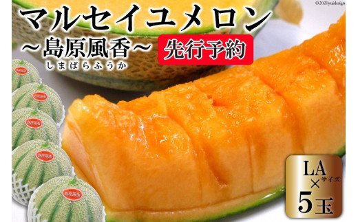 BE160【令和8年度出荷分】マルセイユメロン～島原風香～（LA×5玉） [農事組合法人　『舞岳の里』生産組合 長崎県 島原市 BE160] メロン 赤肉 果物 くだもの フルーツ 産地直送