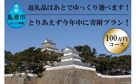 AE256 返礼品はあとでゆっくり選べます！とりあえず今年中に寄附プラン！　【100万円コース】