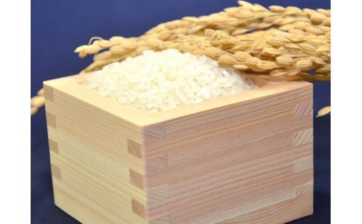 BA053 特別栽培米ながさきにこまる・押麦セット