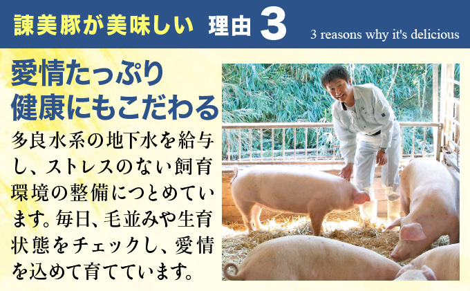 諫美豚生ハム＆生ベーコン3種セット計4P / 豚肉 ハム 生ハム ベーコン 生ベーコン ロース 肩ロース バラ 小分け / 諫早市 / 株式会社土井農場 [AHAD058]