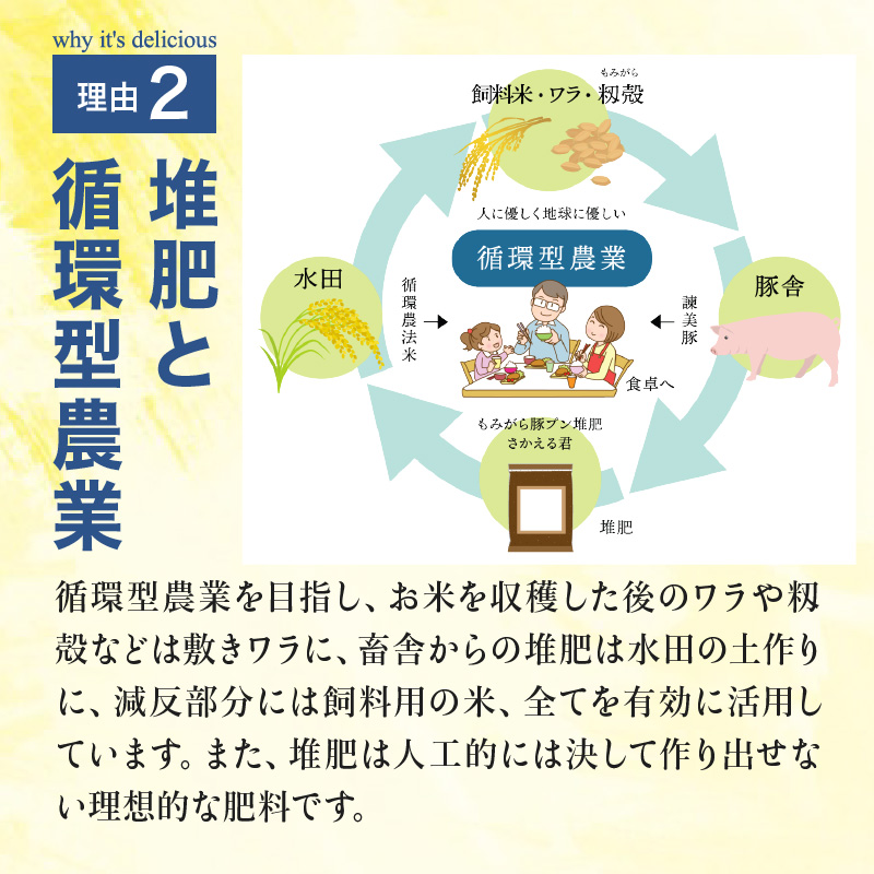 諫美豚切り落としひき肉セット計4.2kg / 豚 豚肉 切り落とし ひき肉 小分け / 諫早市 / 株式会社土井農場 [AHAD059]