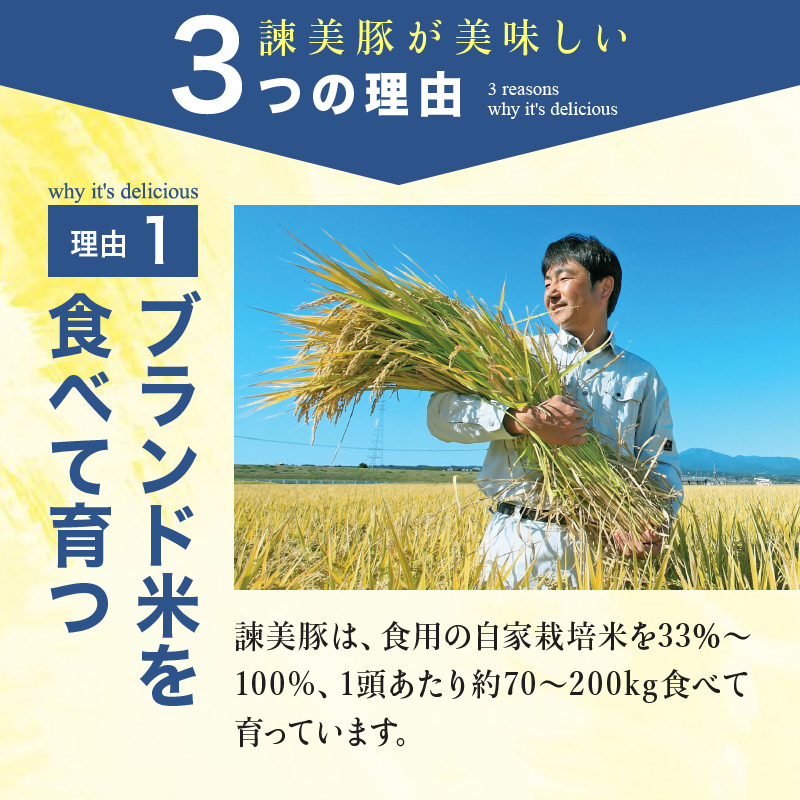 諫美豚プレミアム3kg / 豚肉 ロースステーキ ロース バラ モモ 切り落とし しゃぶしゃぶ 焼肉 / 諫早市 / 株式会社土井農場 [AHAD054]