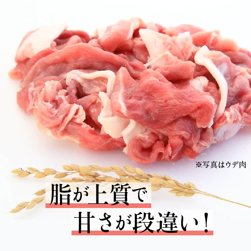 諫美豚切り落としひき肉セット計4.2kg / 豚 豚肉 切り落とし ひき肉 小分け / 諫早市 / 株式会社土井農場 [AHAD059]