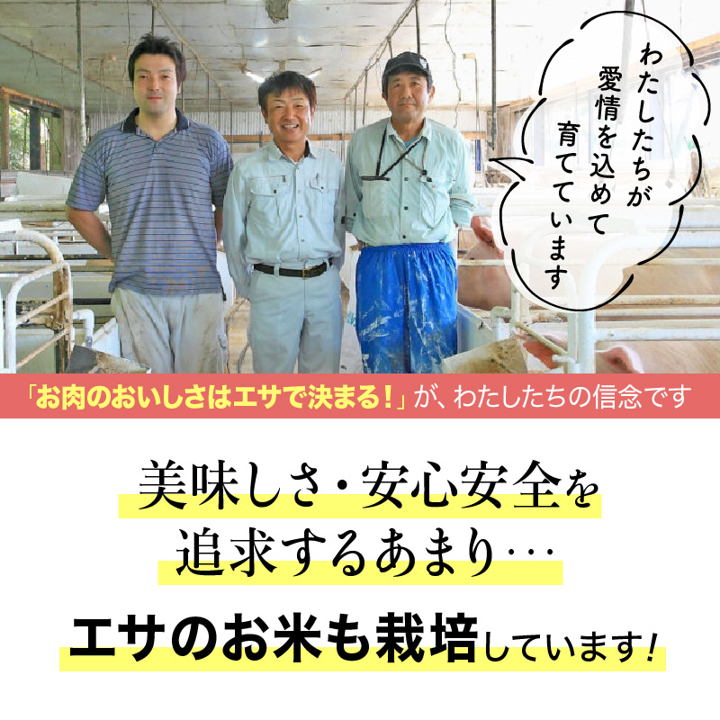 諫美豚焼肉セット計1.2kg / 豚肉 ロース バラ モモ 焼肉 小分け / 諫早市 / 株式会社土井農場 [AHAD057]