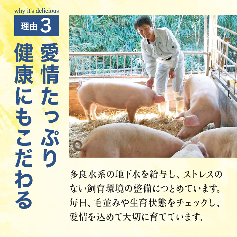 諫美豚プレミアム3kg / 豚肉 ロースステーキ ロース バラ モモ 切り落とし しゃぶしゃぶ 焼肉 / 諫早市 / 株式会社土井農場 [AHAD054]