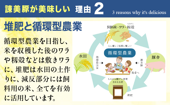 諫美豚生ハム＆生ベーコン3種セット計4P / 豚肉 ハム 生ハム ベーコン 生ベーコン ロース 肩ロース バラ 小分け / 諫早市 / 株式会社土井農場 [AHAD058]