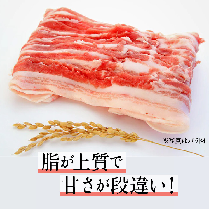 諫美豚焼肉セット計1.2kg / 豚肉 ロース バラ モモ 焼肉 小分け / 諫早市 / 株式会社土井農場 [AHAD057]