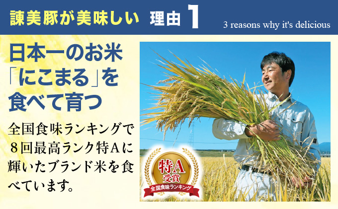 諫美豚生ハム＆生ベーコン3種セット計4P / 豚肉 ハム 生ハム ベーコン 生ベーコン ロース 肩ロース バラ 小分け / 諫早市 / 株式会社土井農場 [AHAD058]