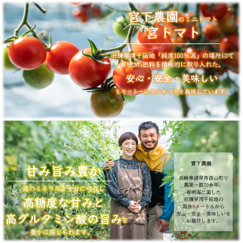 ワイン酵母仕込み茜鶴ミニトマトのお酒辛口200mlと宮トマト500gのセット / 酒 お酒 アルコール 甘口 辛口ミニトマト トマト / 諫早市 / 株式会社宮下農園  [AHCG005]