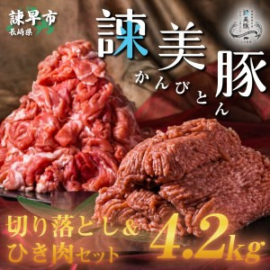 諫美豚切り落としひき肉セット計4.2kg / 豚 豚肉 切り落とし ひき肉 小分け / 諫早市 / 株式会社土井農場 [AHAD059]