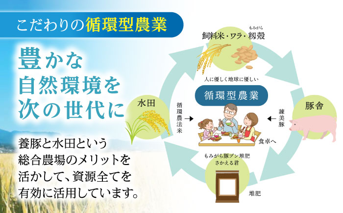 【6回定期便】＜特Aのブランド米で育てた＞黒豚諫美豚プレミアム100 5種セット 計1.2kg( ロースステーキ バラ モモ 切り落とし ひき肉 ) / 豚肉 ロース ステーキ 挽き肉 ミンチ / 諫早市 / 株式会社土井農場 [AHAD112]