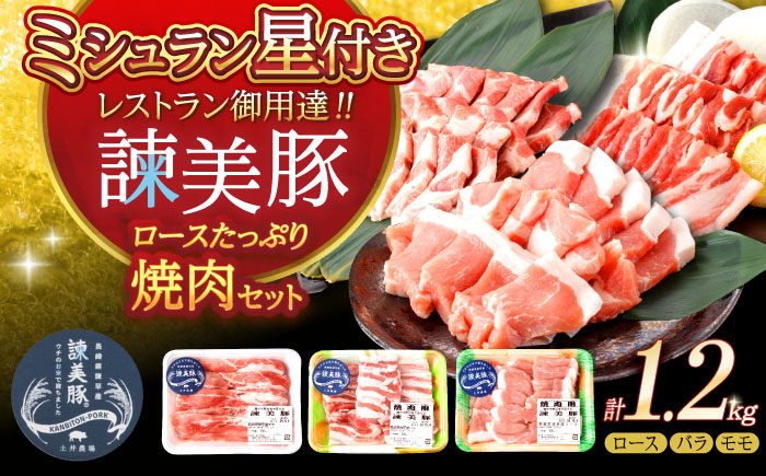 諫美豚焼肉セット計1.2kg / 豚肉 ロース バラ モモ 焼肉 小分け / 諫早市 / 株式会社土井農場 [AHAD057]