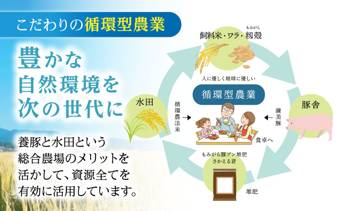 【6回定期便】豚肉切り落とし2.1kg!諫早平野の米で育てた諫美豚 / 諫美豚 豚肉 切り落とし 肉 豚 お肉 国産 人気 スライス / 諫早市 / 株式会社土井農場 [AHAD016]