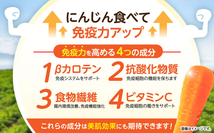 【11月中旬以降発送予定】滝さんの人参 10kg / にんじん ニンジン 人参 やさい 野菜 / 諫早市 / 滝商店株式会社 [AHCU001]