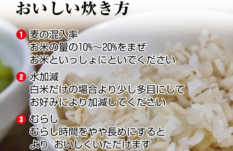 むぎくい亭(丸麦500gｘ6・裸麦500gｘ6) / 麦 丸麦 はだか麦 麦味噌 雑穀 雑穀米 長崎県産 米 こめ コメ ※ / 諫早市 / 有限会社伊東精麦  [AHBU002] 