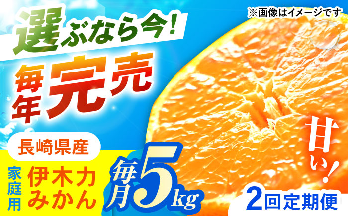 【2回定期便】※【11月より発送／先行予約】 伊木力みかん (家庭用) 5kg / みかん ミカン 蜜柑 柑橘 フルーツ ふるーつ 果物 くだもの / 諫早市 / 山野果樹園 [AHCF008]