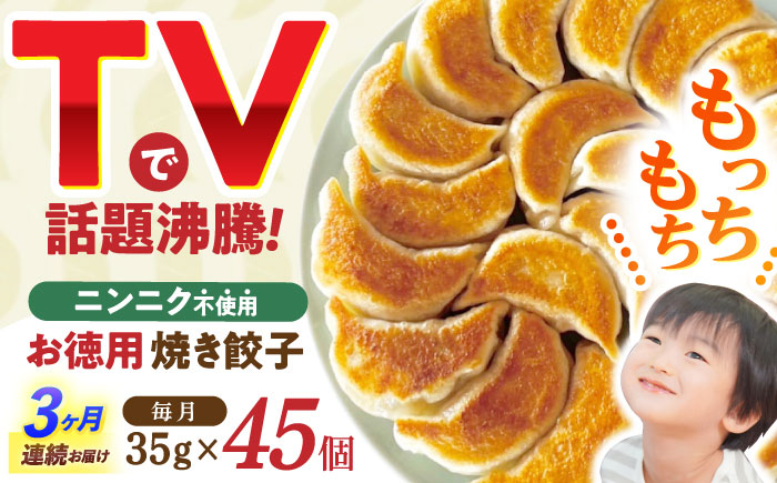 【3回定期便】《餃子のかわしも》かわしも焼き餃子お徳用45個入りパッケージ [AHBM006]