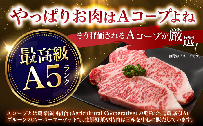 【12回定期便】長崎和牛ステーキ(200g×6枚)　/　長崎和牛　ブランド牛　牛　牛肉　ステーキ　サーロイン　/　諫早市　/　長崎県央農業協同組合Aコープ本部 [AHAA032]