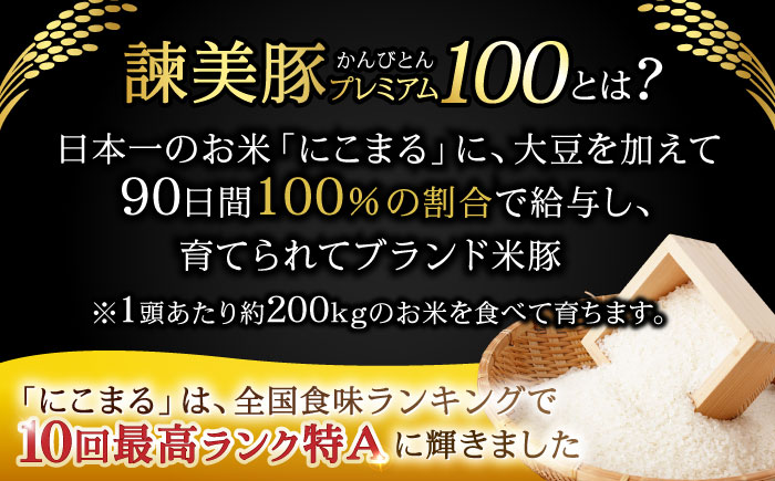 【3回定期便】諫早平野の米で育てた諫美豚プレミアム100お勧めセット3kg / 諫美豚 豚肉 肩ロース ステーキ モモ 切り落とし ハンバーグ ロースステーキ / 諫早市 / 株式会社土井農場 [AHAD024]