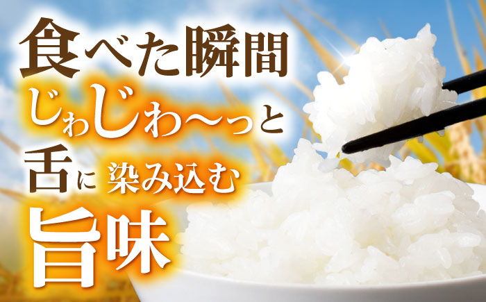 循環農法米 ヒノヒカリ白米 10kg / 米 こめ コメ おこめ お米 白米 ひのひかり / 諫早市 / 株式会社土井農場 [AHAD095]