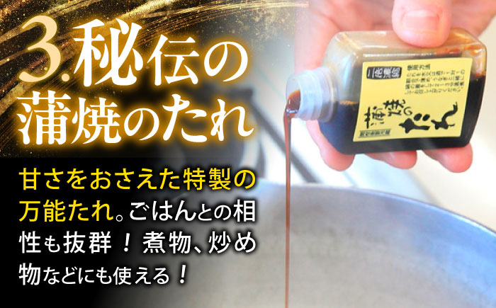 【6回定期便】【諫早淡水】うなぎ蒲焼10尾 / うなぎ ウナギ 鰻 蒲焼 たれ 老舗 / 諫早市 / 諫早淡水 [AHAT022]