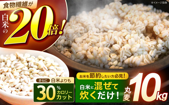 【年内配送】長崎県産 丸麦 10kg / 麦 むぎ 雑穀 雑穀米 麦ごはん 麦飯 麦みそ 食物繊維 長崎県産 米 こめ コメ ※ / 諫早市 / 有限会社伊東精麦 [AHBU005]