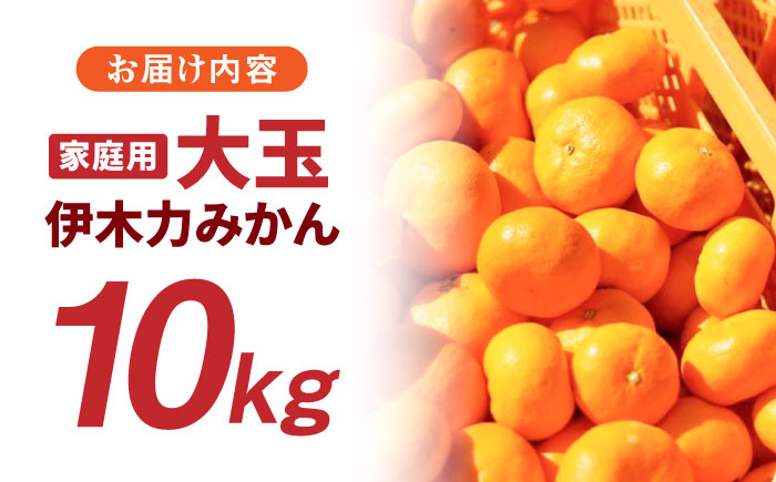 ※【2025年11月発送分／先行予約】伊木力みかん（大玉）10kg / みかん ミカン 蜜柑 フルーツ 果物 / 諫早市 / 山野果樹園 [AHCF005]