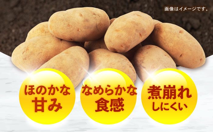 じゃがいも メークイン 10kg (S～2Lサイズ/約50～60個) / じゃがいも ジャガイモ ポテト 九州 メークイン メイクイーン 野菜 やさい / 諫早市 / スマイルファーム　 [AHFG004]