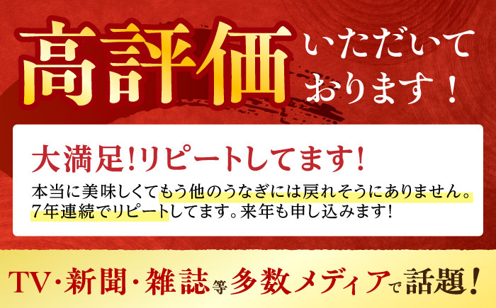 【2回定期便】北御門うなぎ蒲焼2尾入 / 特上 うなぎ 鰻 蒲焼 ウナギ / 諫早市 / 諫早観光物産　コンベンション協会 [AHAB004]