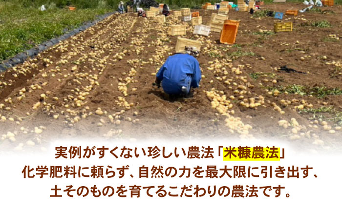 ジャガイモ(メークイーン)　5kg / 諫早市 / 未来ファーム [AHEY004]