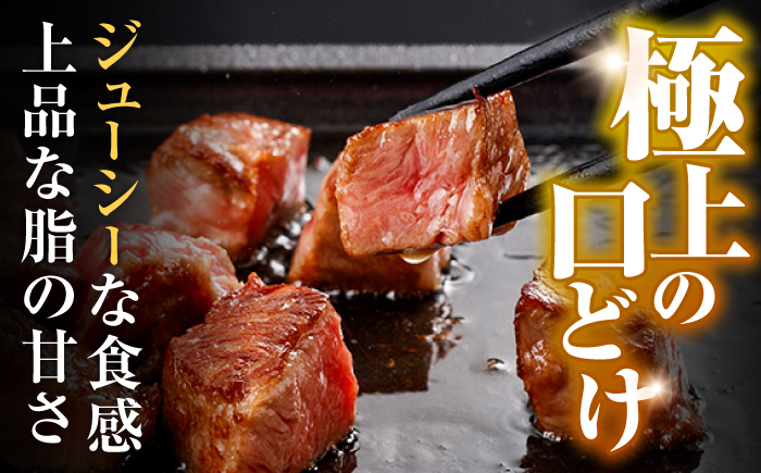 【ナイフ不要。3分で完成する贅沢！】長崎和牛 サーロインサイコロステーキ 400g / サーロイン さーろいん サーロインステーキ ステーキ ステーキ肉 サイコロステーキ 国産 和牛 牛 a5 牛肉 / 諫早市 / 野中精肉店 [AHCW148]